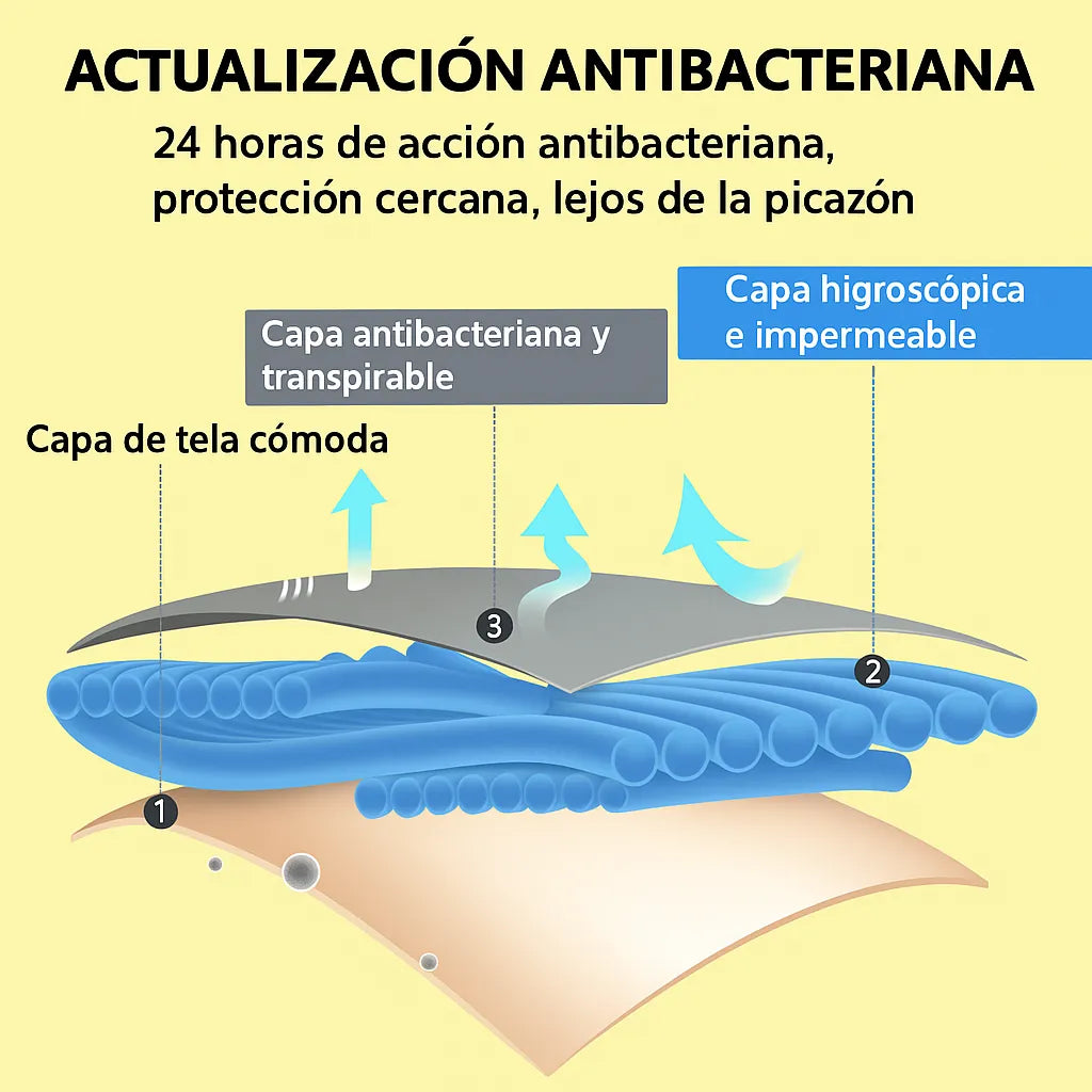 Encabezado