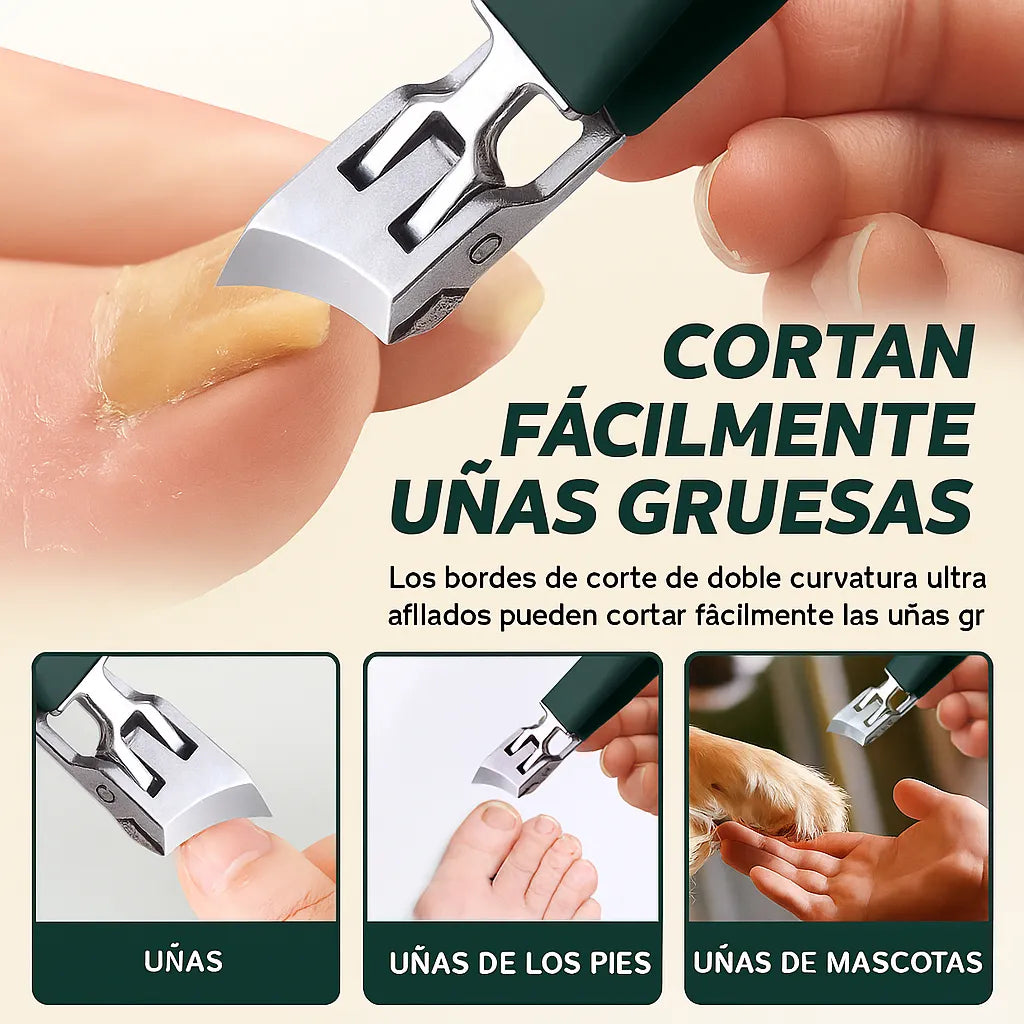 Encabezado