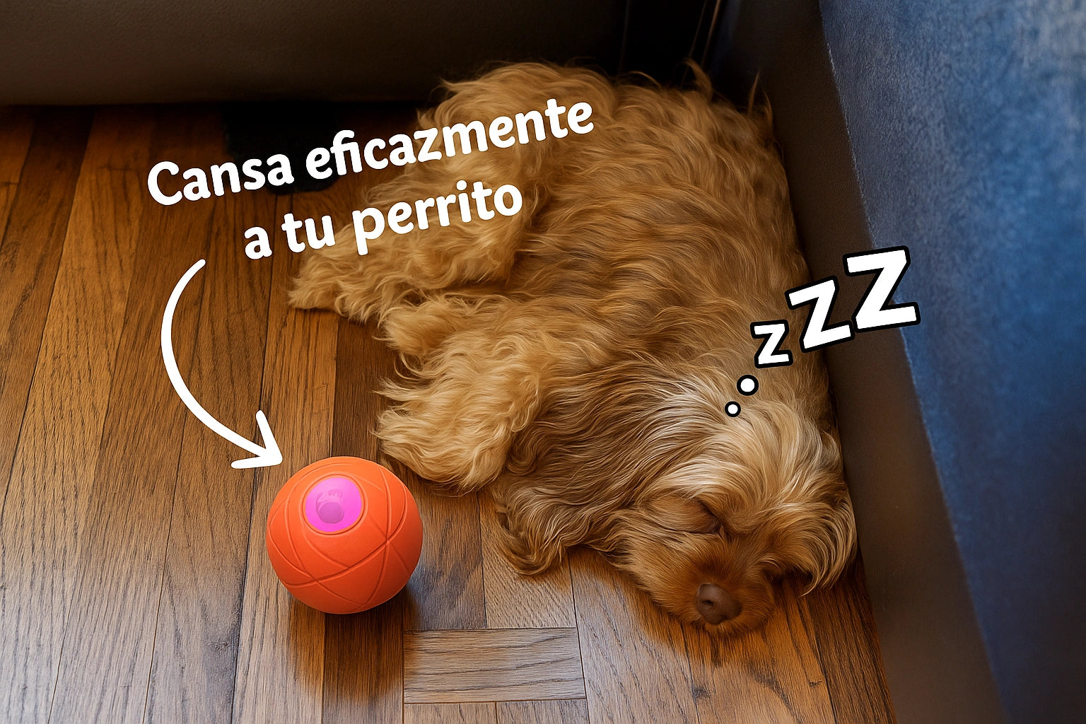 Encabezado