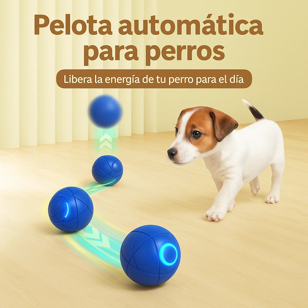 Pet Bounce-PELOTA para perros y🐶 gatos🐱