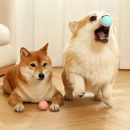 Pet Bounce-PELOTA para perros y🐶 gatos🐱